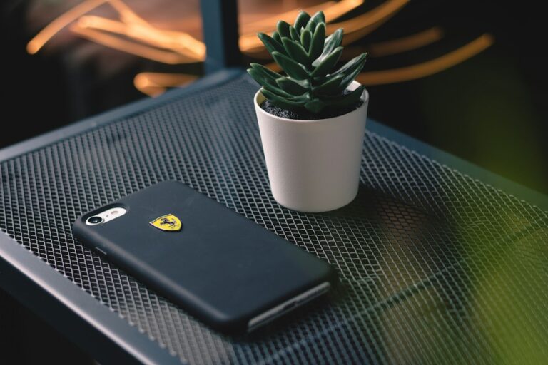 The Ultimate Guide to Choosing Phone Accessories for Every Lifestyle